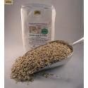 Koncentrat ciasta CHLEB DAM-FITNES - 5 KG